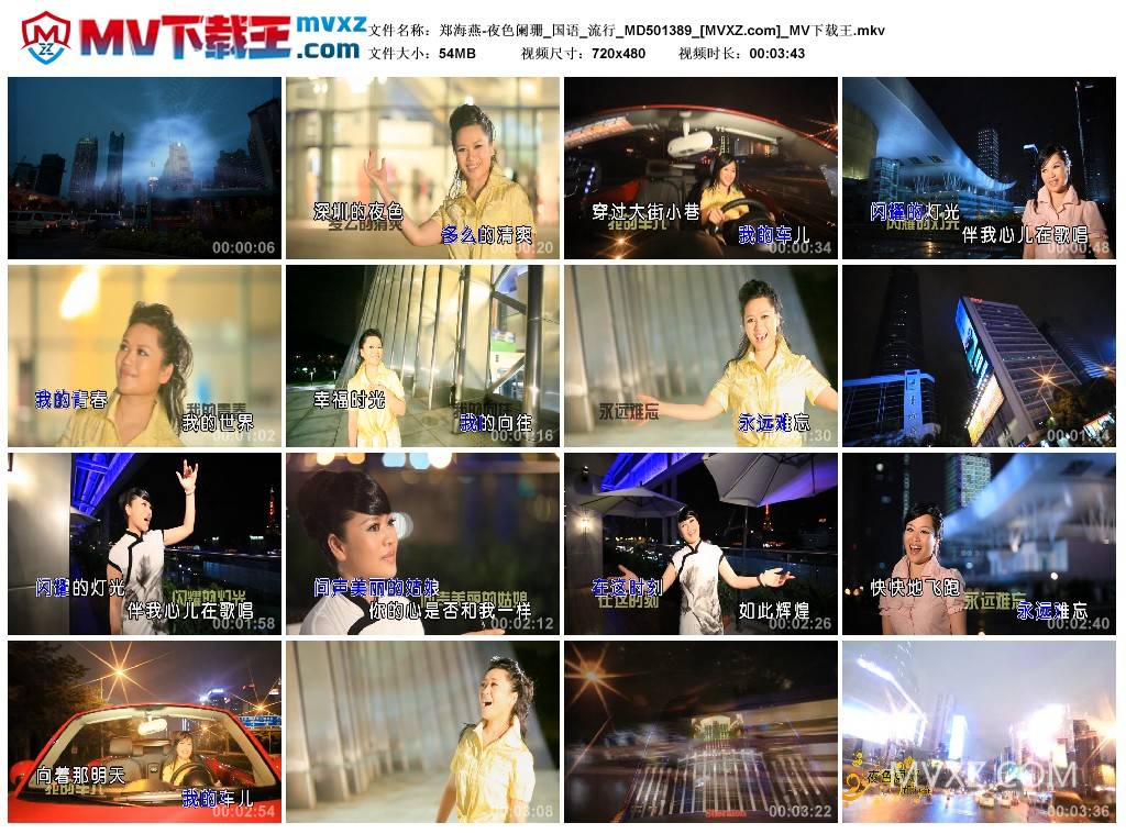 郑海燕-夜色阑珊_国语_流行_MD501389